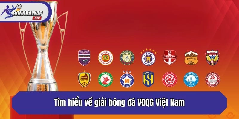 Tìm hiểu về giải bóng đá VĐQG Việt Nam