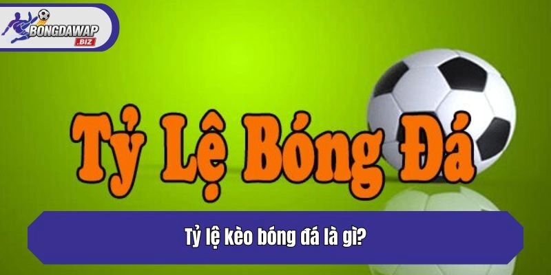 Tỷ lệ kèo bóng đá là gì?